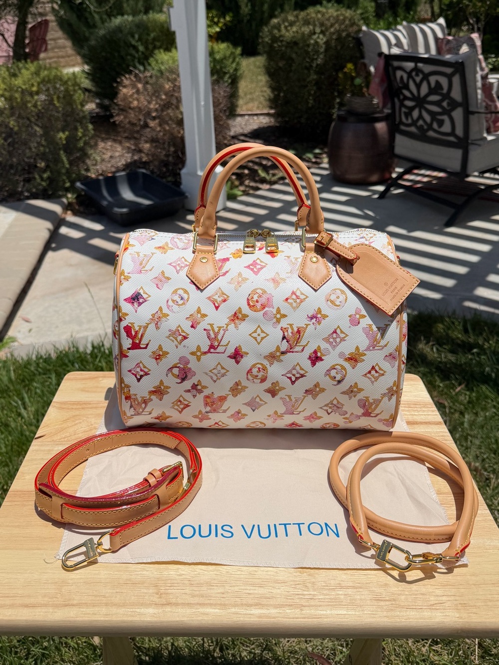 NEW LV Print Speedy 30 Richard Prince Monogram Watercolor Aquarelle Limited Edit